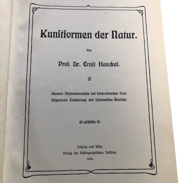 À vendre Kunstformen der Natur - Ernst Haeckel 1904